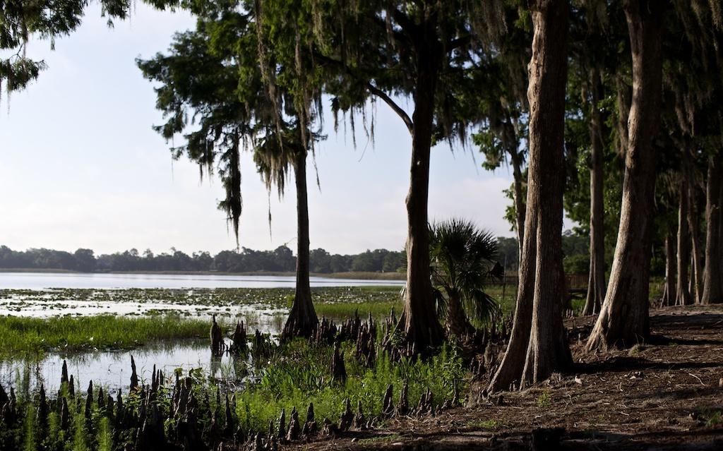 Star Island Resort And Club - Near Disney Kissimmee Exterior foto